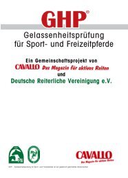 GelassenheitsprÃ¼fung fÃ¼r Sport- und Freizeitpferde - Hof Kirchhorst