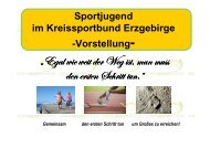 Ideen & Konzept der Sportjugend Erzgebirge - Kreissportbund ...