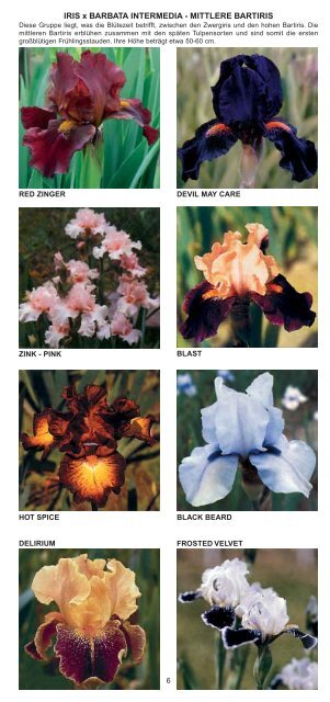 Sommerkatalog 2010 - Albrecht Hoch