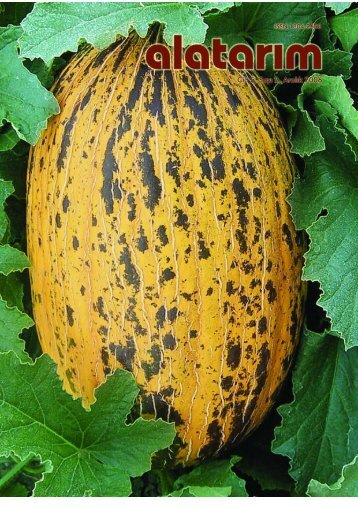 alatarım - Alata Bahçe Kültürleri Araştırma İstasyonu Müdürlüğü