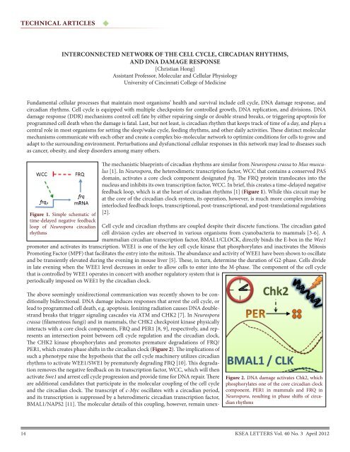 Download KSEA Letters 40-3, Apr. 2012 [pdf] - Korean-American ...