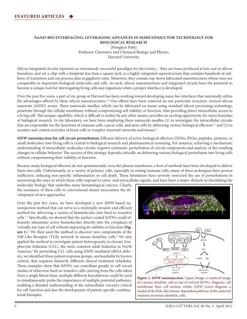 Download KSEA Letters 40-3, Apr. 2012 [pdf] - Korean-American ...