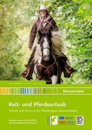 Reiten- und Pferdeurlaub Münsterland 2014