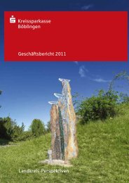 Geschäftsbericht 2011 Landkreis-Perspektiven - Kreissparkasse ...