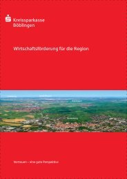 Kreissparkasse Boeblingen - Jahresbericht 2009