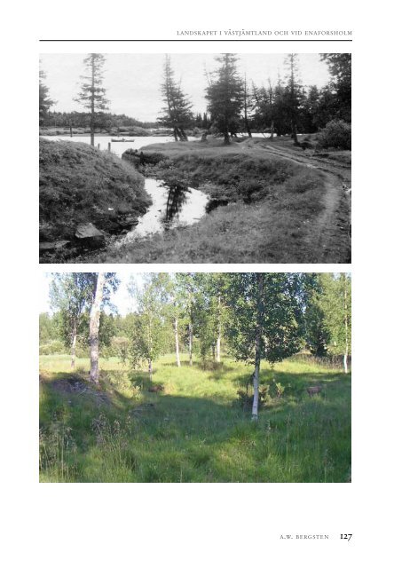 Landskapet i VÃ¤stjÃ¤mtland och vid Enaforsholm