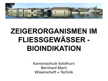 Zeigerorganismen im FliessgewÃ¤sser