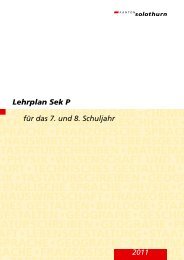 Lehrplan Sek P - Kantonsschule Solothurn