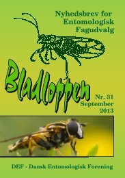 Nyhedsbrev for Entomologisk Fagudvalg