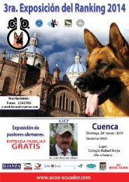 CATALOGO CUENCA 2014