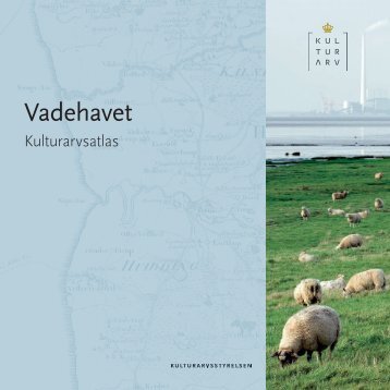 vadehavet