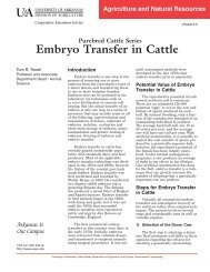 Embryo Transfer in Cattle - The Judging Connection .com