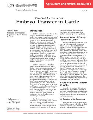 Embryo Transfer in Cattle - The Judging Connection .com