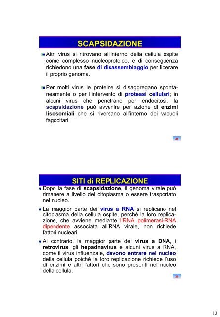 CICLO REPLICATIVO - Sezione di Microbiologia