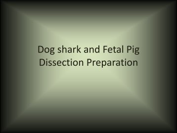 Dog shark and Fetal Pig Dissection Preparation.pdf