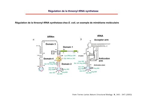 Dégradation de l'ARN - Institut de biologie physico-chimique