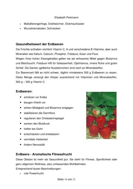 "Die Erdbeere" Facharbeit von Perkmann Elisabeth