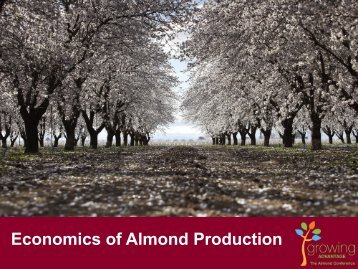 Economics of Almond Production - Almond Board of California