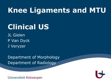 Knee Ligaments and MTU - Clinical US - Henry Ford Health System