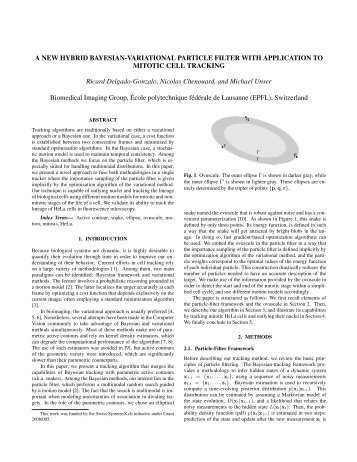 A new hybrid Bayesian-variational particle filter - Ricard Delgado ...