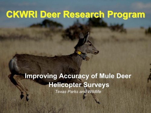 Deer Research Program Update - Caesar Kleberg Wildlife Research ...
