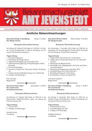 [PDF] Dokument ansehen - Amt Jevenstedt