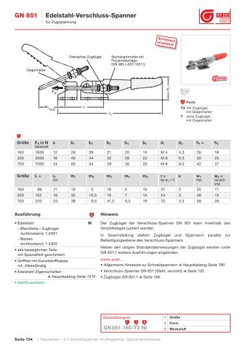 Normblatt GN 851 PDF - Ganter