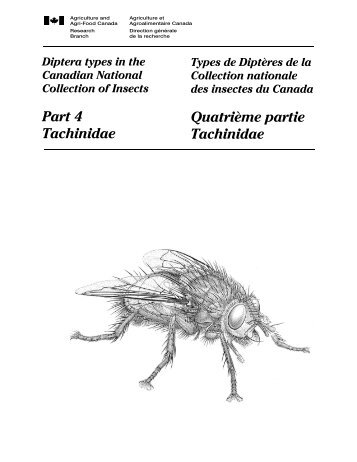 Part 4 Tachinidae Quatrième partie Tachinidae