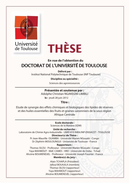 PDF (ThÃ¨se) - Les thÃ¨ses en ligne de l'INP - Institut national ...