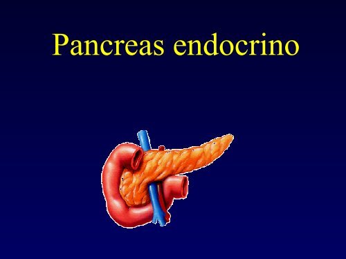 Pancreas endocrino