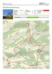 Themenweg Michelbacher Elsbeerweg - Elsbeere Wienerwald