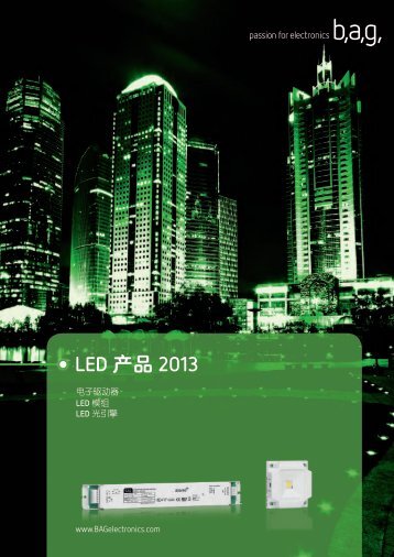 LED äº§å2013 - BAG electronics