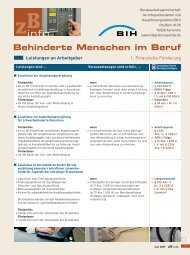 Behinderte Menschen im Beruf (PDF)