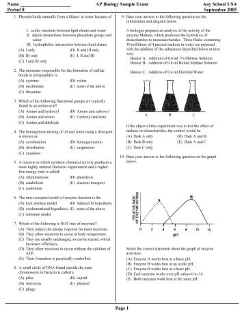 The Wizard Test Maker - Eduware