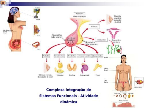 Hidrogenismo - AssociaÃ§Ã£o Brasileira de Reciclagem e AssistÃªncia ...