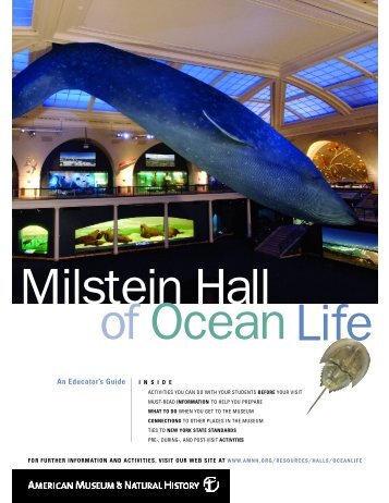 An Educator's Guide - American Museum of Natural History