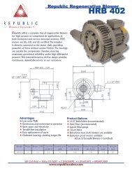 Republic Regenerative Blower 402