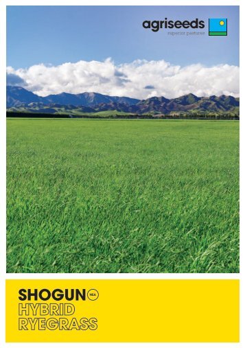 Shogun Hybrid Ryegrass - Agriseeds Pasture Site