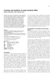 Function and synthesis of small nucleolar RNAs David Tollervey ...