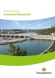 Unsere Energie: Erneuerbare Wasserkraft - EnergieDienst AG