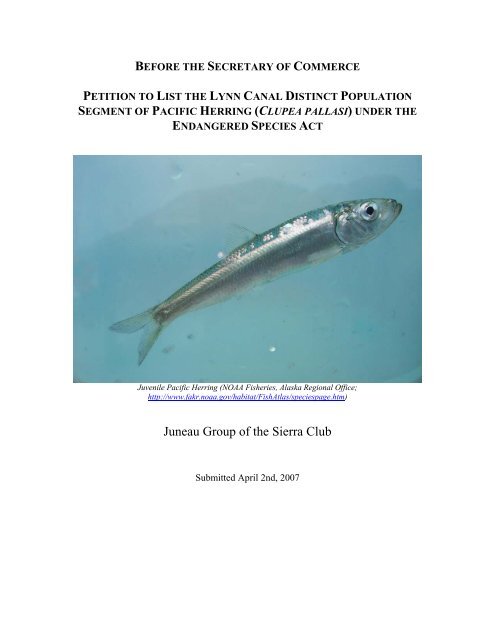 Petition to List Lynn Canal Pacific Herring under the Endangered ...