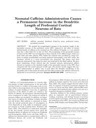 Neonatal caffeine administration causes a permanent increase in ...