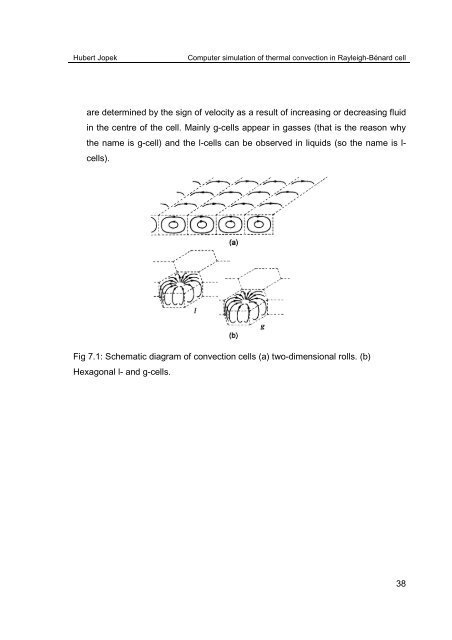 Computer simulation of thermal convection in Rayleigh-Bénard cell ...