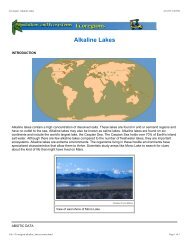 Ecoregions Combined - FOSSWeb