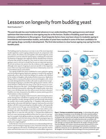 Lessons on longevity from budding yeast - The Kaeberlein Lab