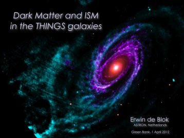 Dark Matter and ISM in the THINGS galaxies