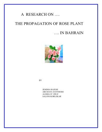 A RESEARCH ON â¦. THE PROPAGATION OF ROSE PLANT â¦. IN ...