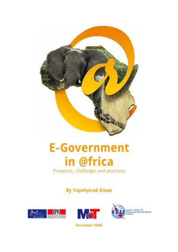 E-Government in Africa - Prospects, Challenges and Practices