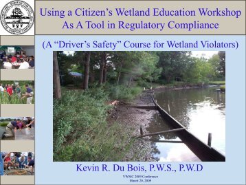 Wetland Restoration & Enhancement in Norfolk - Virginia Water ...