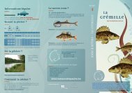 Fiche poisson - La grÃ©mille